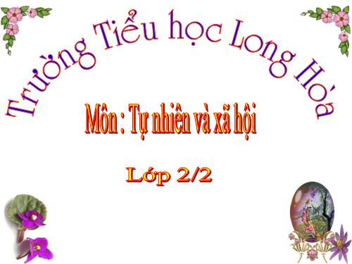 Bài 23. Ôn tập: Xã hội