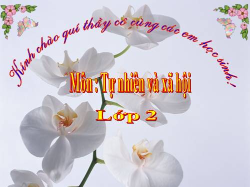 Bài 13. Giữ sạch môi trường xung quanh nhà ở