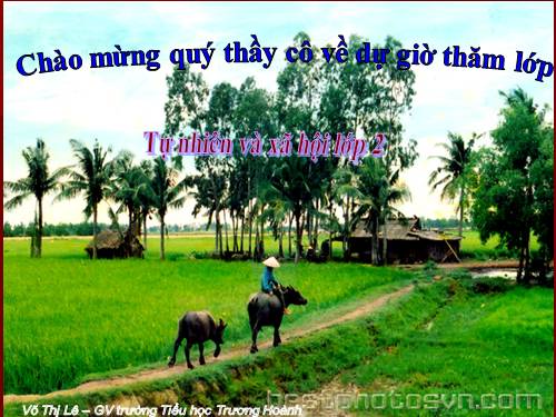 Bài 13. Giữ sạch môi trường xung quanh nhà ở