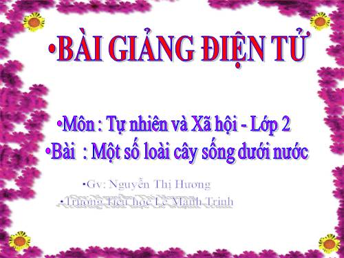 Bài 26. Một số loài cây sống dưới nước