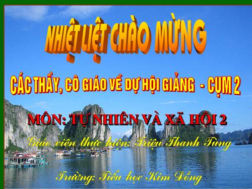 Bài 30. Nhận biết cây cối và các con vật