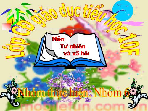 Bài 29. Một số loài vật sống dưới nước
