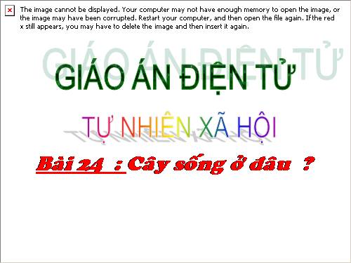 Bài 24. Cây sống ở đâu?