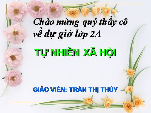 Bài 9. Đề phòng bệnh giun