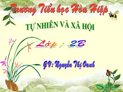 Bài 12. Đồ dùng trong gia đình