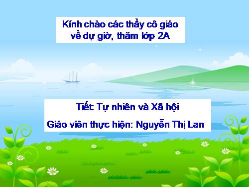 Bài 6. Tiêu hoá thức ăn