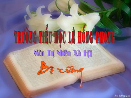 Bài 2. Bộ xương