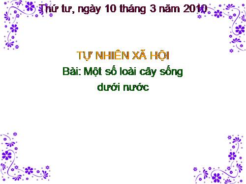 Bài 26. Một số loài cây sống dưới nước
