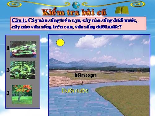 Bài 31. Mặt Trời