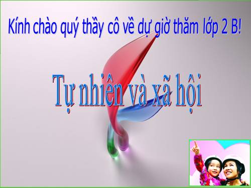 Bài 20. An toàn khi đi các phương tiện giao thông