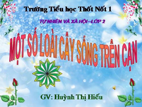 Bài 25. Một số loài cây sống trên cạn
