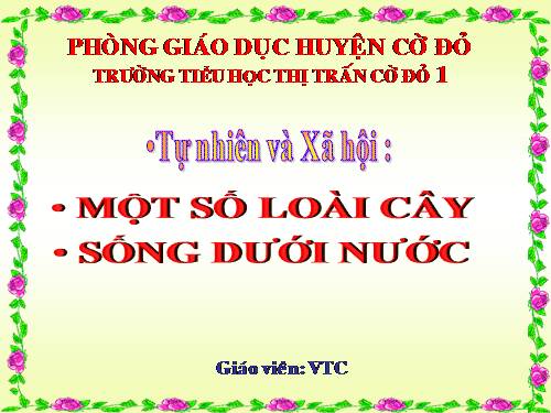 Bài 26. Một số loài cây sống dưới nước
