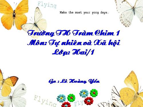 Bài 11. Gia đình