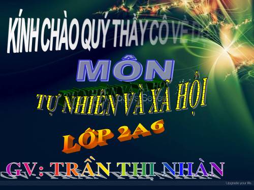 Bài 1. Cơ quan vận động