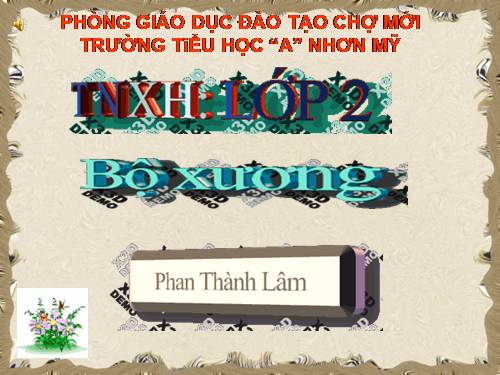 Bài 2. Bộ xương
