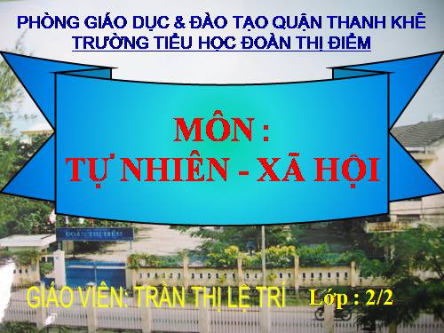 Bài 16. Các thành viên trong nhà trường