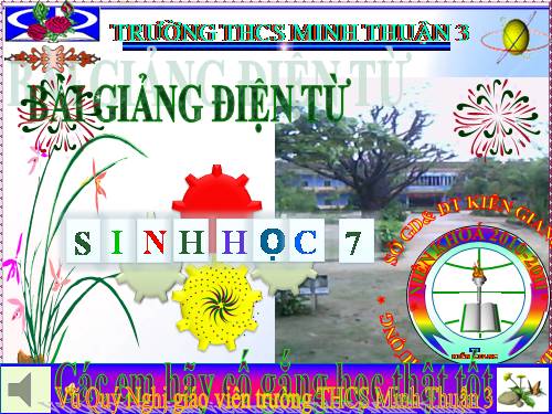 Bài 27. Loài vật sống ở đâu?