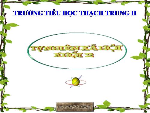 Bài 31. Mặt Trời