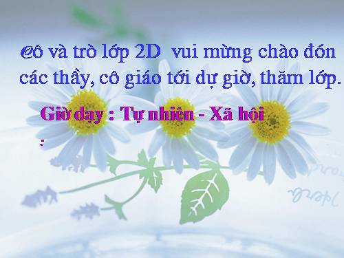 Bài 8. Ăn, uống sạch sẽ