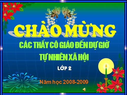 Bài 9. Đề phòng bệnh giun