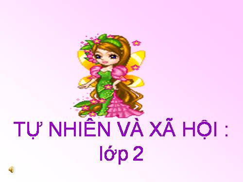 Bài 15. Trường học