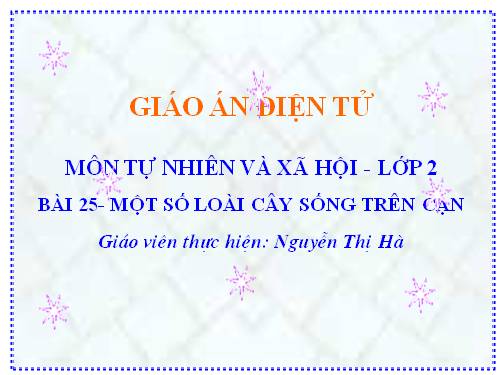 Bài 25. Một số loài cây sống trên cạn