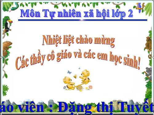 Bài 31. Mặt Trời