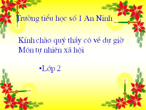 Bài 11. Gia đình