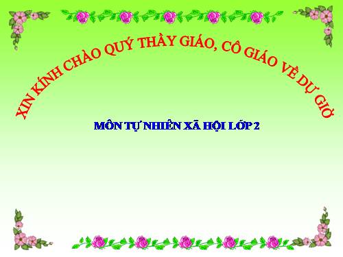 Bài 33. Mặt Trăng và các vì sao