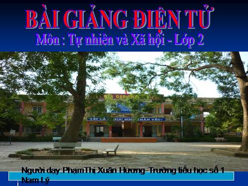 Bài 34-35. Ôn tập: Tự nhiên