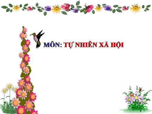 Bài 11. Gia đình