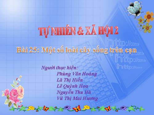 Bài 25. Một số loài cây sống trên cạn