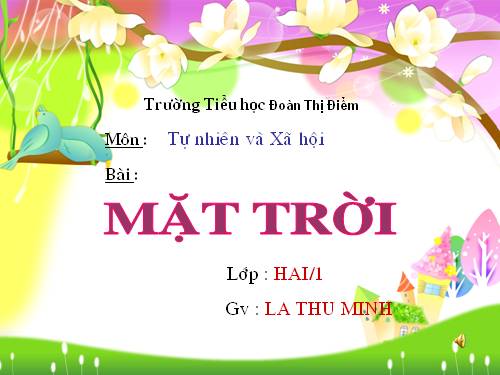 Bài 31. Mặt Trời