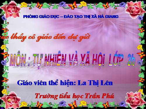 Bài 29. Một số loài vật sống dưới nước
