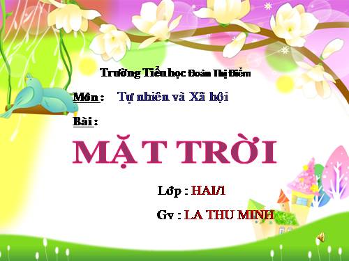Bài 31. Mặt Trời