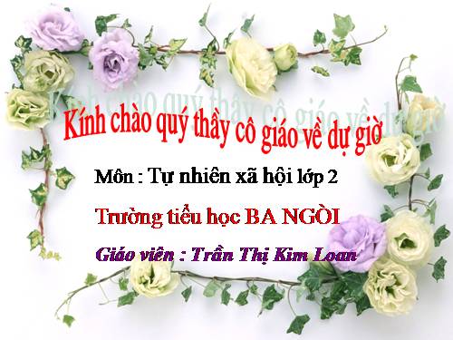 Bài 8. Ăn, uống sạch sẽ