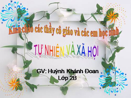 Bài 25. Một số loài cây sống trên cạn