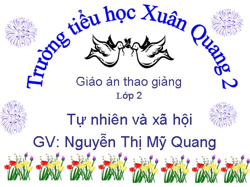 Bài 30. Nhận biết cây cối và các con vật