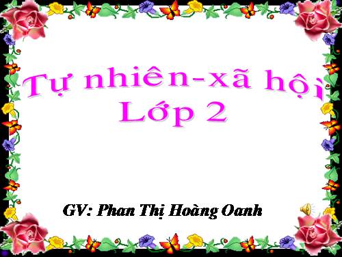 Bài 25. Một số loài cây sống trên cạn