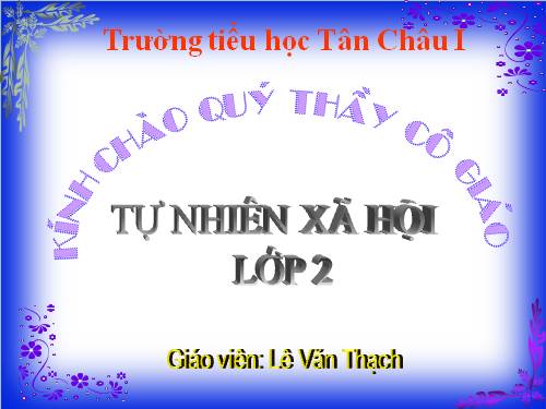 Bài 11. Gia đình
