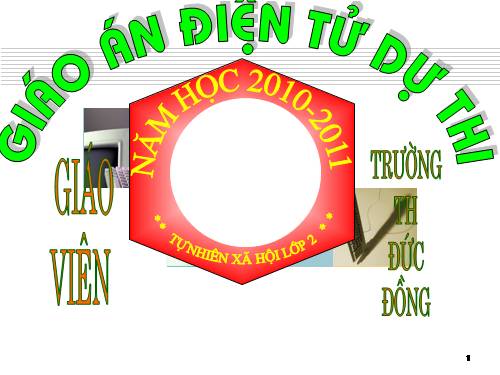 Bài 28. Một số loài vật sống trên cạn