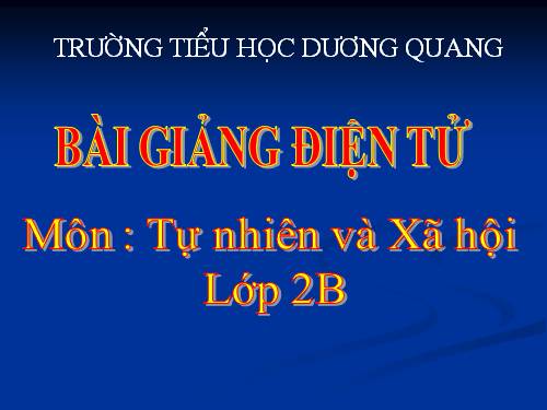 Bài 30. Nhận biết cây cối và các con vật