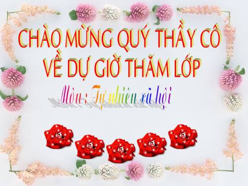 Bài 15. Trường học
