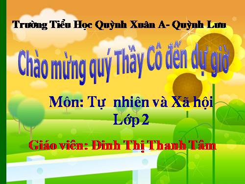 Bài 30. Nhận biết cây cối và các con vật