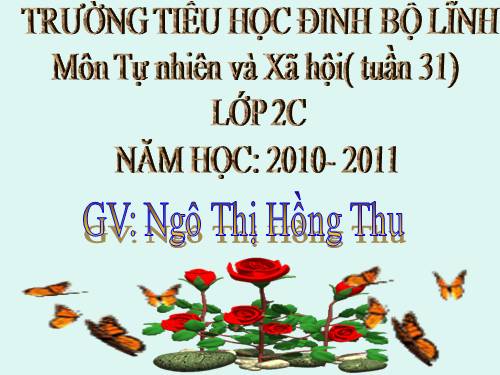 Bài 31. Mặt Trời