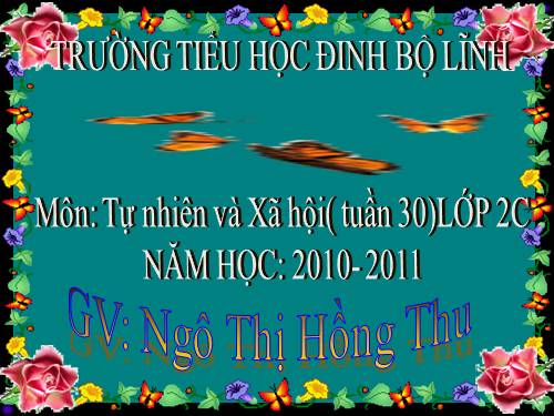 Bài 30. Nhận biết cây cối và các con vật