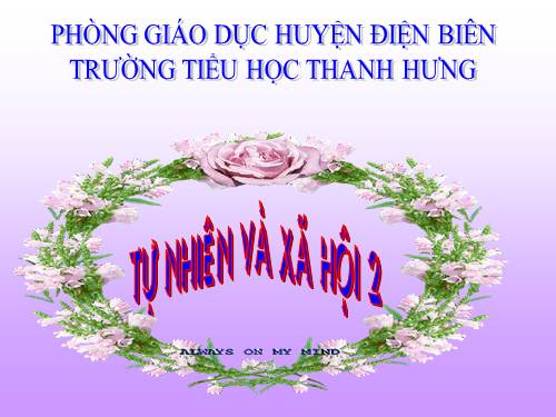 Bài 17. Phòng tránh ngã khi ở trường