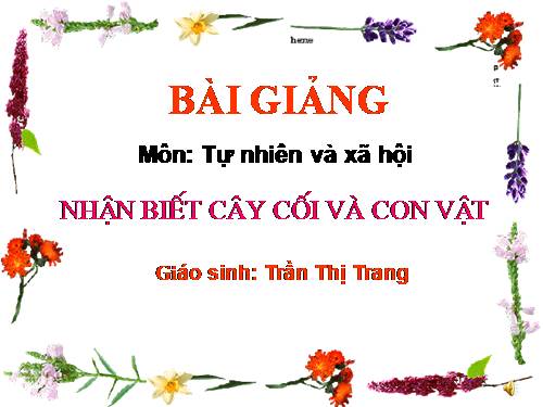 Bài 30. Nhận biết cây cối và các con vật