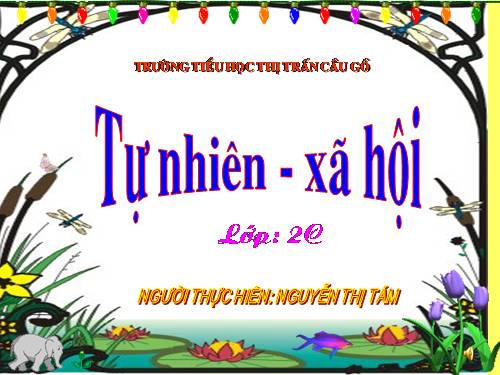 Bài 24. Cây sống ở đâu?
