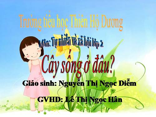 Bài 24. Cây sống ở đâu?